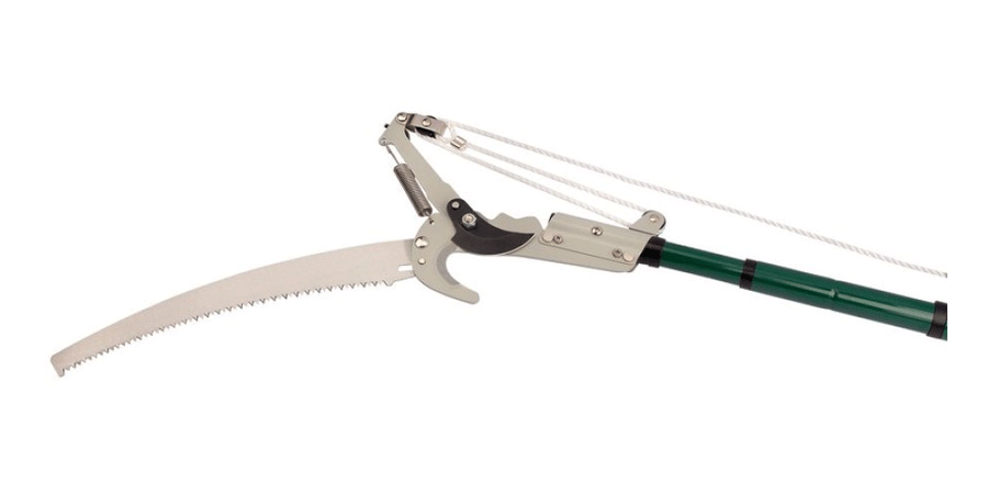 Tree Pruner Image
